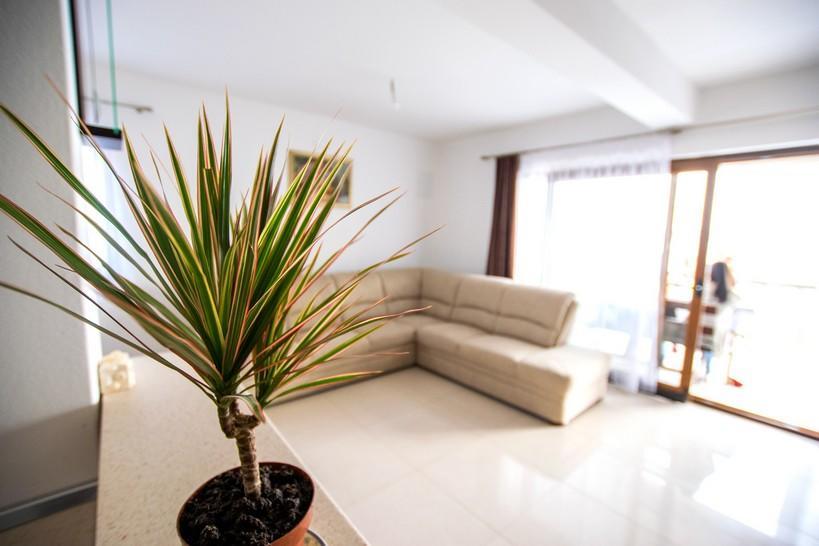 Apartment Andjela Starigrad Paklenica Buitenkant foto